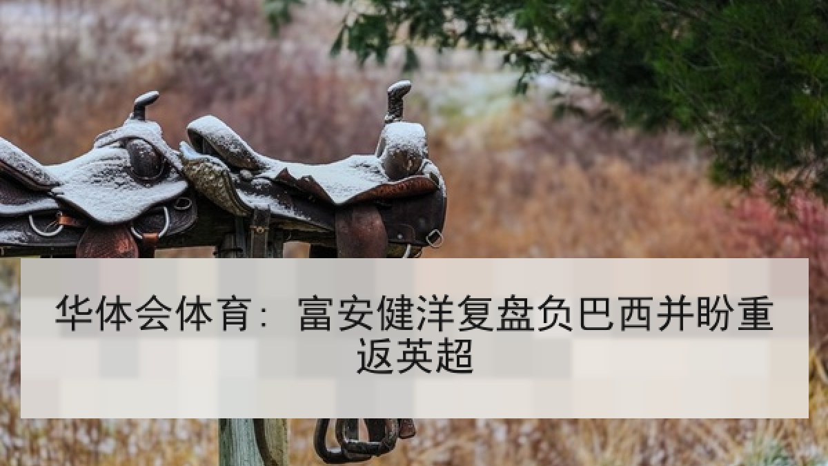 华体会体育: 富安健洋复盘负巴西并盼重返英超