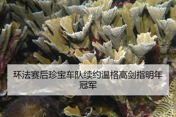 huan-fa-sai-hou-zhen-bao-che-dui-xu-yue-wen-ge-gao-jian-zhi-ming-nian-guan-jun-3-836.jpg