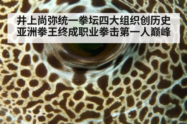 井上尚弥统一拳坛四大组织创历史 亚洲拳王终成职业拳击第一人巅峰