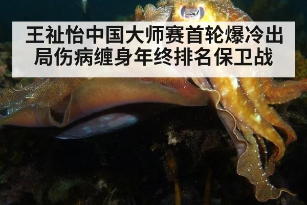王祉怡中国大师赛首轮爆冷出局伤病缠身年终排名保卫战
